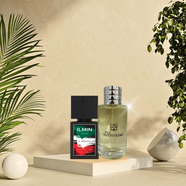 ILMIN IL - MÉXICO