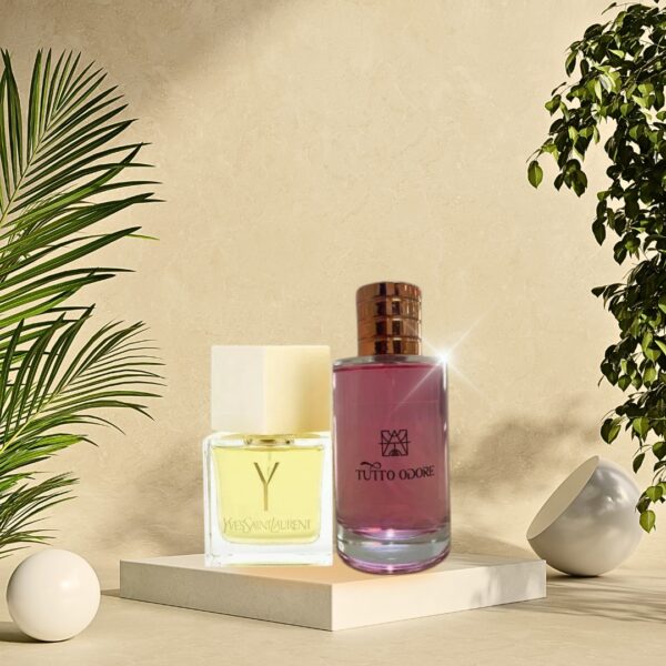YVES SAINT LAUREN (Y)